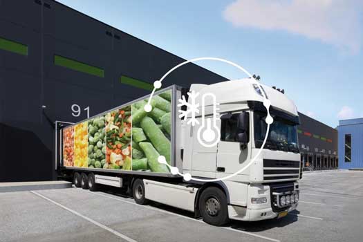 frío en transporte en Tenerife y Gran Canaria